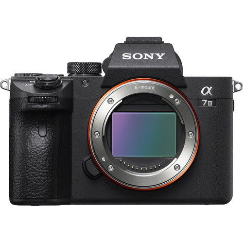 Mirrorless Camera